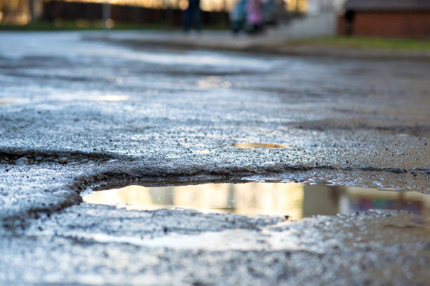 Best Gravel Driveway Installation in Citrus, CA